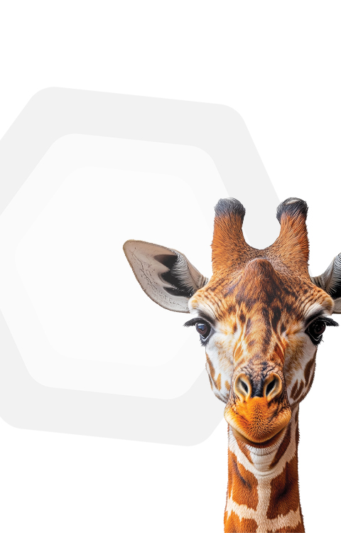 girafe telephone