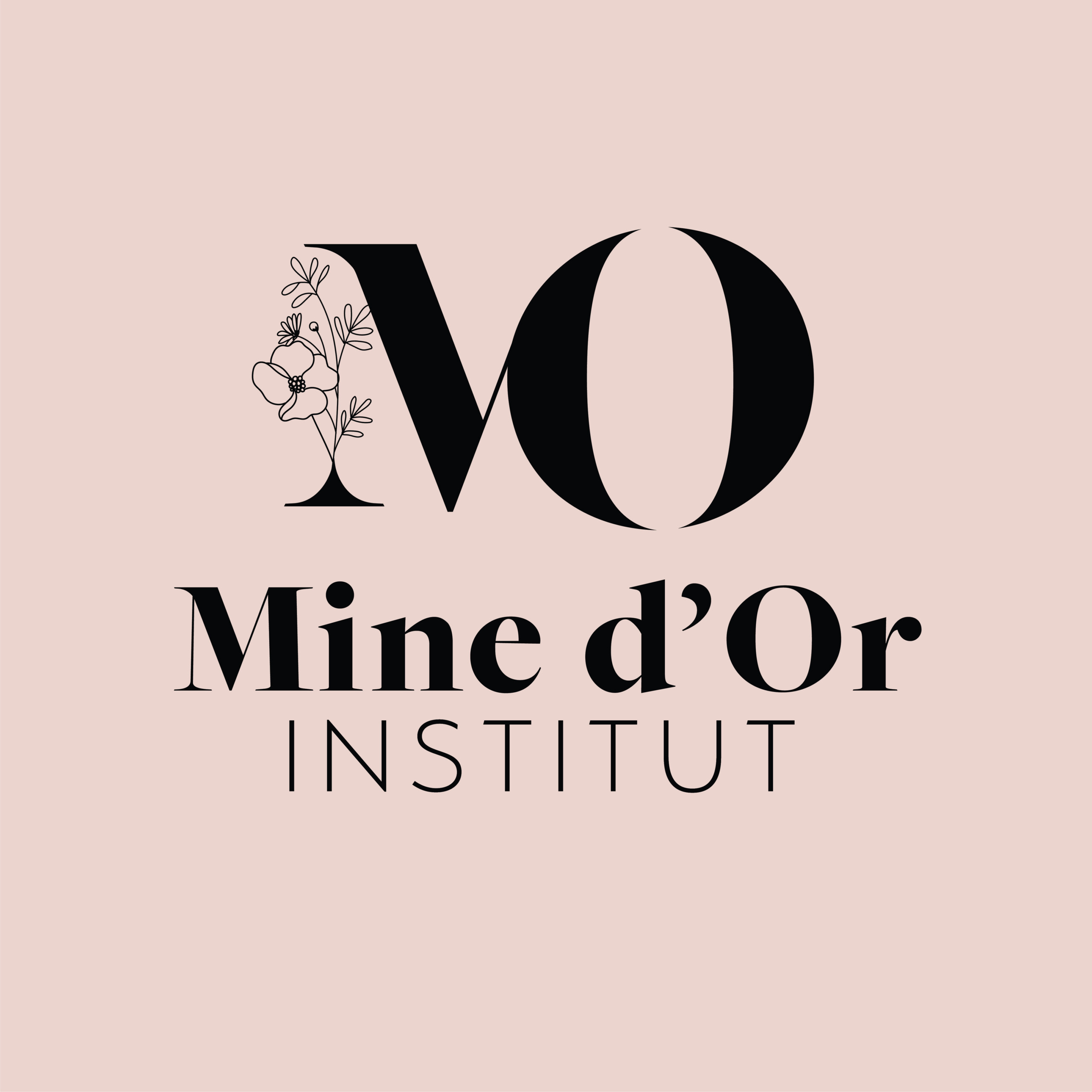 logo-institut-creation-graphisme-annecy-geneve